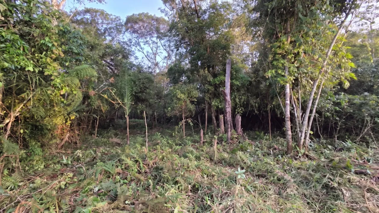 Foto do imóvel Exclusivo Mova Terreno com área total de 642 m², localizado na Rua 2020, nº 971, bairro Continent...