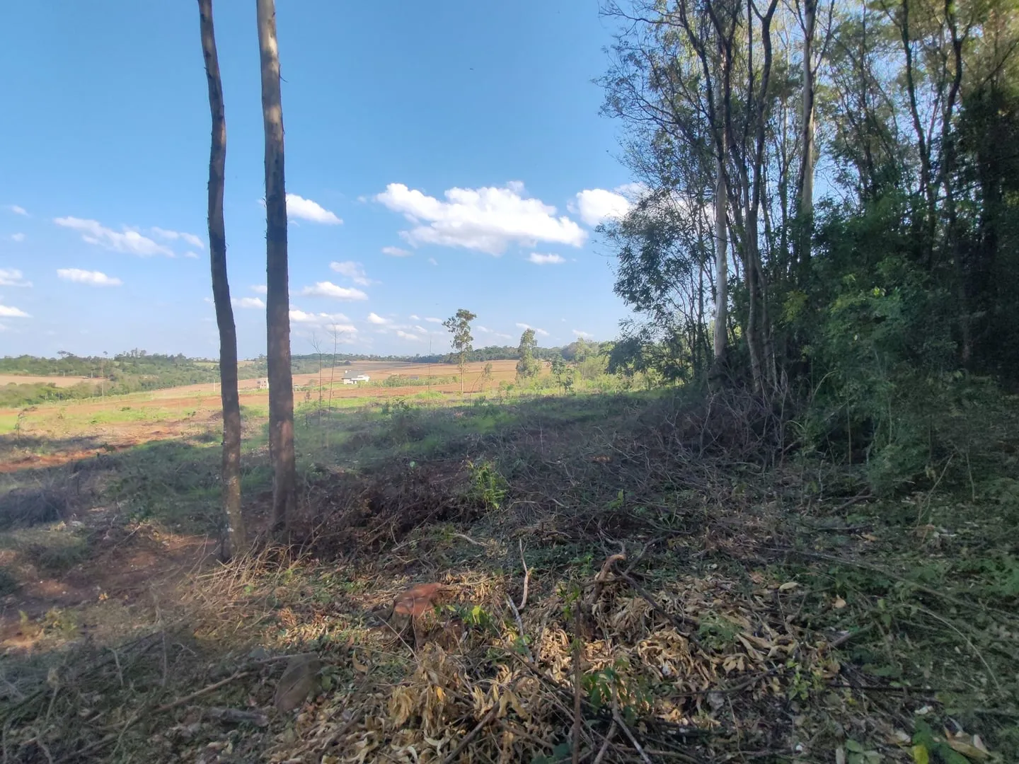 Imagem Chácara com 25.945 m² à venda em São Miguel do Iguaçu