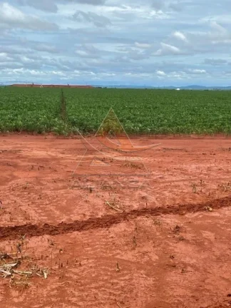 Imagem Fazenda - João Pinheiro - João Pinheiro