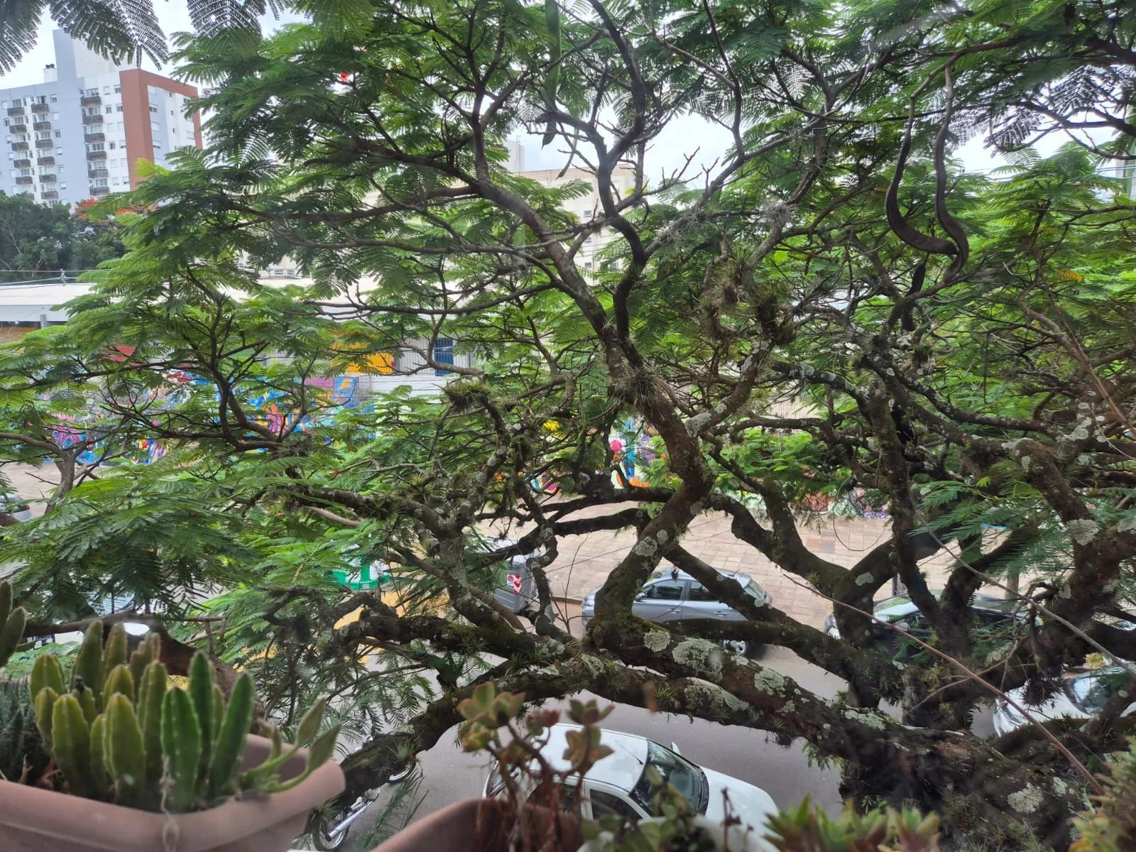 Imagem 2 Dormitórios com terraço