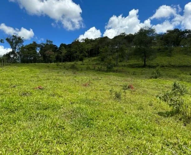 Imagem Oportunidade de Fazenda em Cláudio/MG 84 Hectares de terra