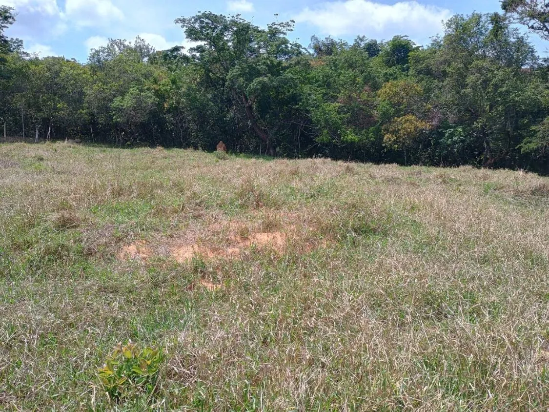 Imagem Sítio à venda em Itaguara/MG ,com 50.000 m² de terra