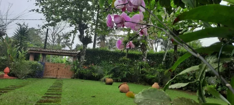 Foto do imóvel Oportunidade !!! Casa Praia Tabatinga Caraguatatuba - SP