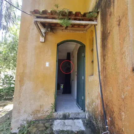 Imagem TRES CASAS EM UM TERRENO DE 700 MT COM ACESSO PARA O RIO. ENTRADA CONJUNTA PARA GARAGEM, PELA RUA