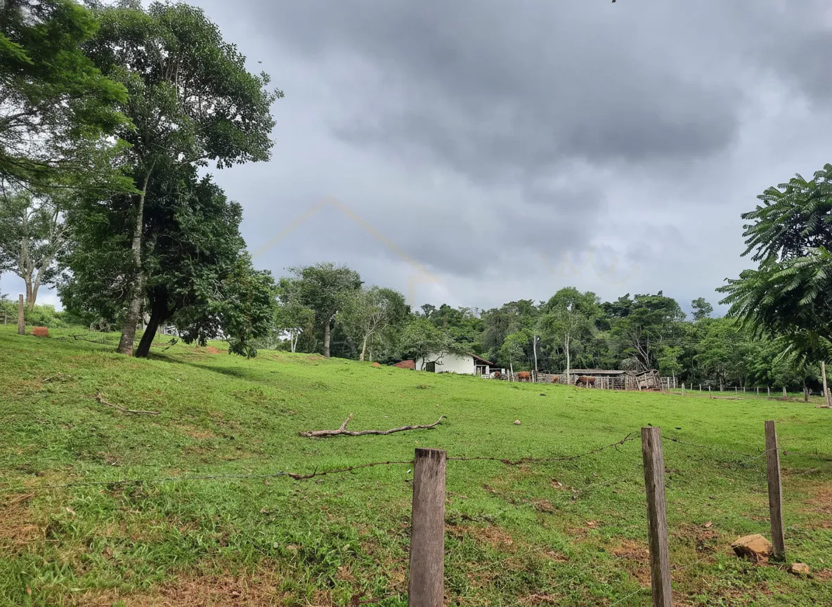Imagem Sítio 65 m² à venda em Palmeiral, Botelhos
