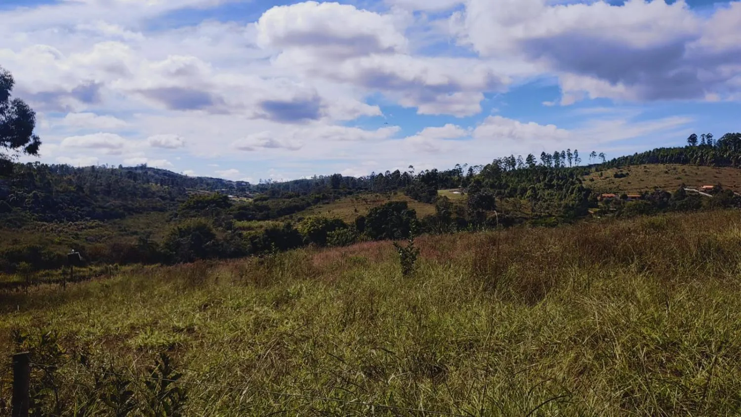 Imagem Excelente Terreno à Venda em Desterro de Entre Rios: 15 Hectares Totalmente Plano