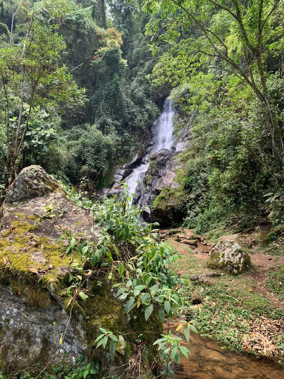 Imagem Chácara com 40.000m² em Lagoinha - Amplo Espaço e Total Privacidade