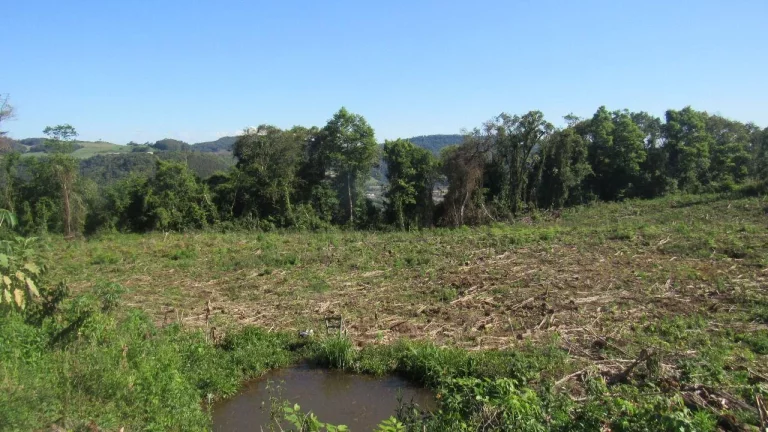 Imagem Casa para Venda em Lindóia do Sul, Centro, 1 dormitório, 1 banheiro
