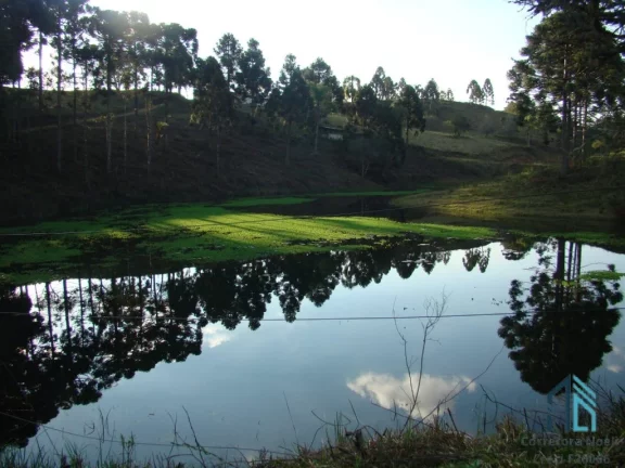 Imagem Sítio/Haras com 52,00 área e 3.000m² área construída, Barracões, 6 casas de funcionários, 29 cocheiras, em Tijucas do Sul - PR