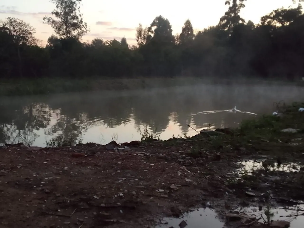 Imagem Sítio no Rincão