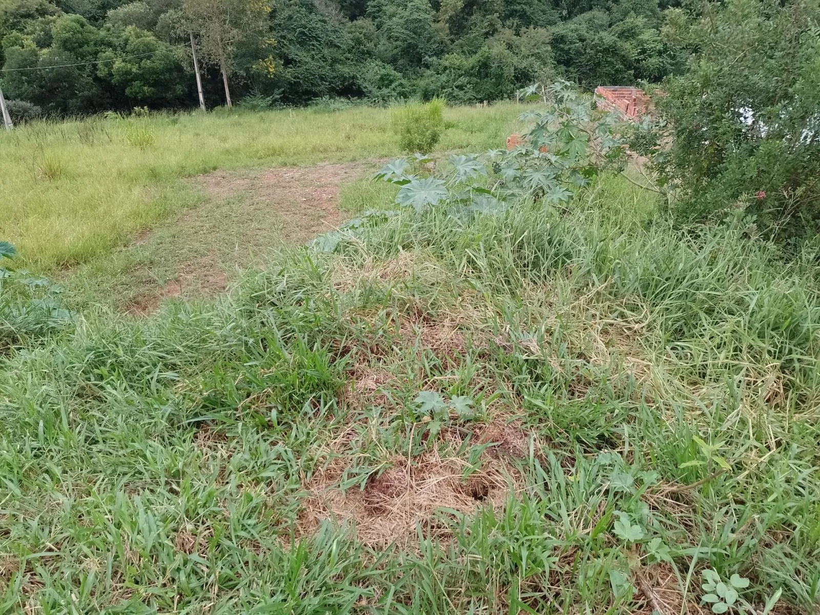 Imagem Terreno à venda no bairro Bairro Dos Souza em Tatuí/SP