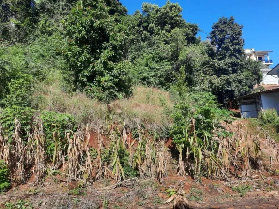 Imagem Terreno para Venda em Concórdia, Itaíba