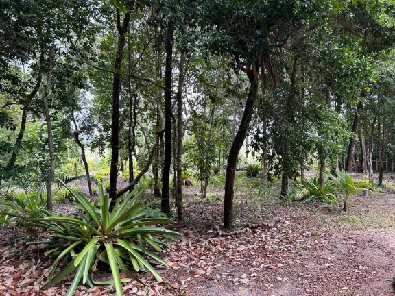 Imagem CASA DE VIDRO