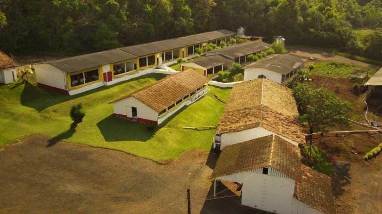 Imagem Granja para Venda em Concórdia, Rural