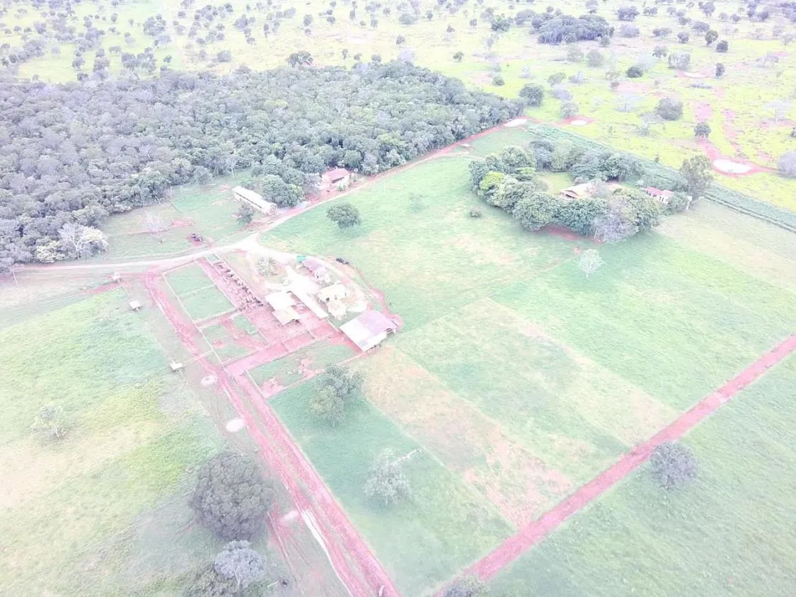 Imagem FAZENDA À VENDA EM FELIXLÂNDIA/MG | 105 HECTARES