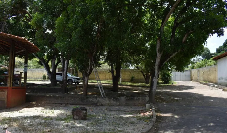 Imagem Fazenda à Venda ou Locação, 300 m² em Vila Esperança - São Luís