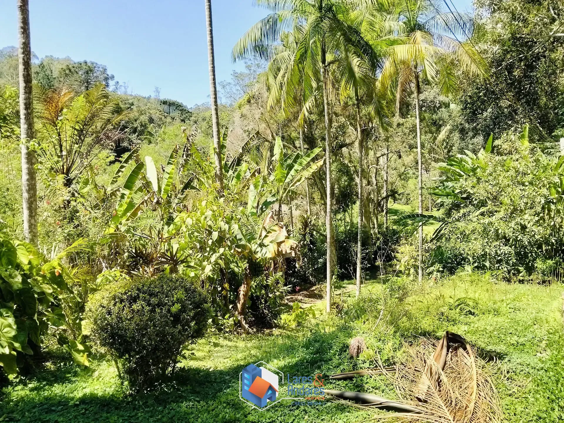 Imagem ARRENDAMENTO DE SITIO COM NASCENTE, ÁREA PARA PLANTIO, CASA COM 3 DORMITÓRIOS, CASEIRO, COM MAIS DE 40.000 METROS IDEAL PARA ONGS - SÃO LOURENÇO DA SERRA.