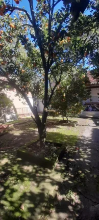 Imagem ÓTIMA CASA - SANTA ISABEL