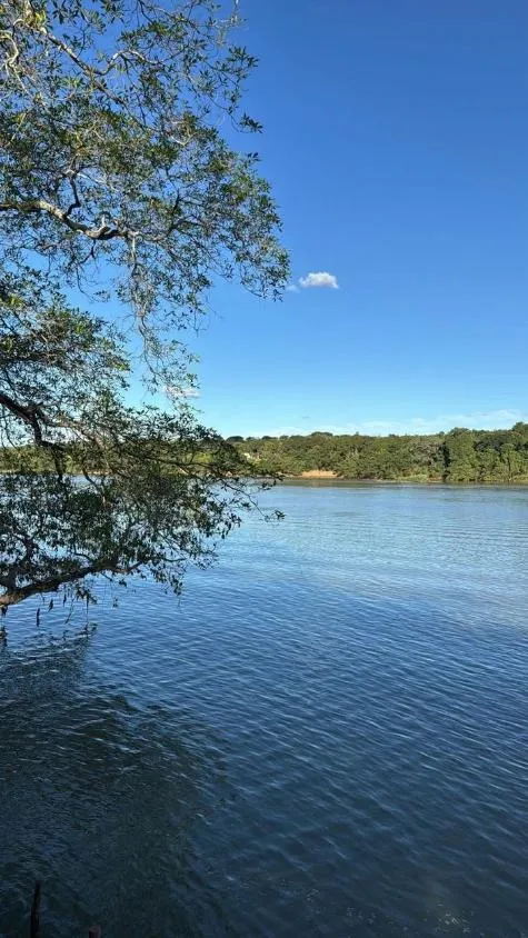 Imagem Fazenda à Venda em Três Marias / MG 355 hectares de terra