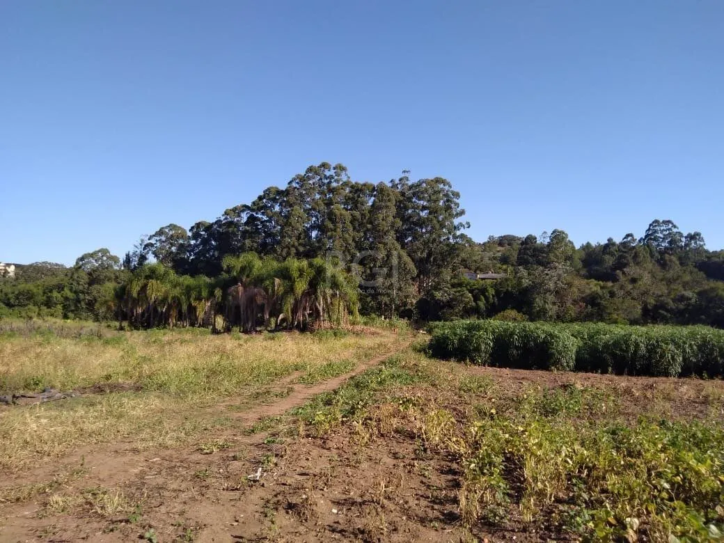 Imagem Area para Venda - 36.900m² - Campo Novo