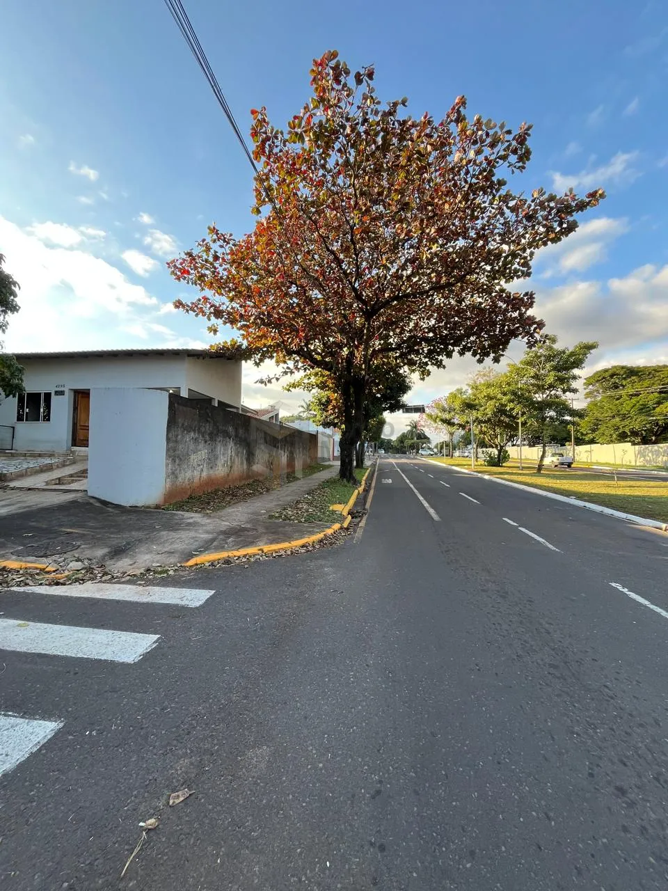 Imagem Casa 324m Umuarama-PR 374