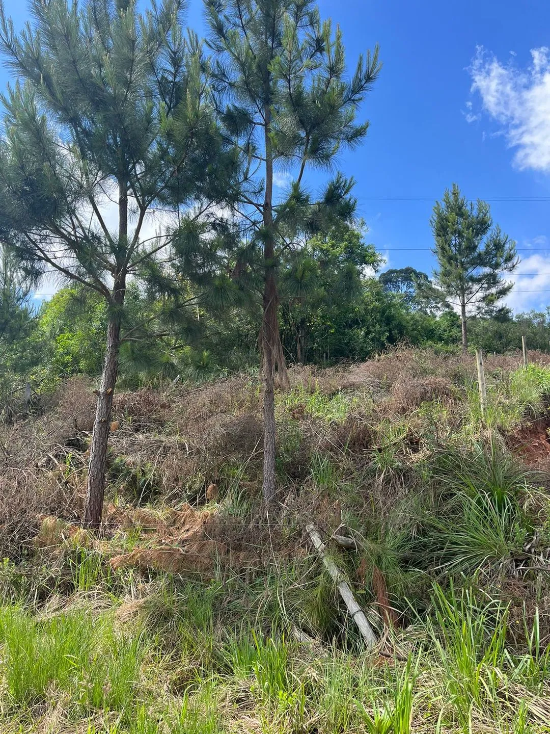 Imagem Terreno à venda em Caxias do Sul, Nossa Senhora da Saúde