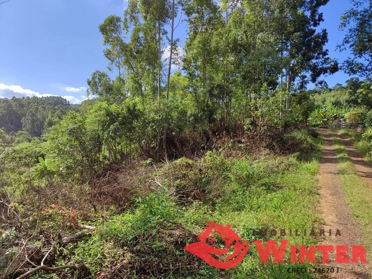 Imagem Área de terras com 3.000m² próprio para um chácara.