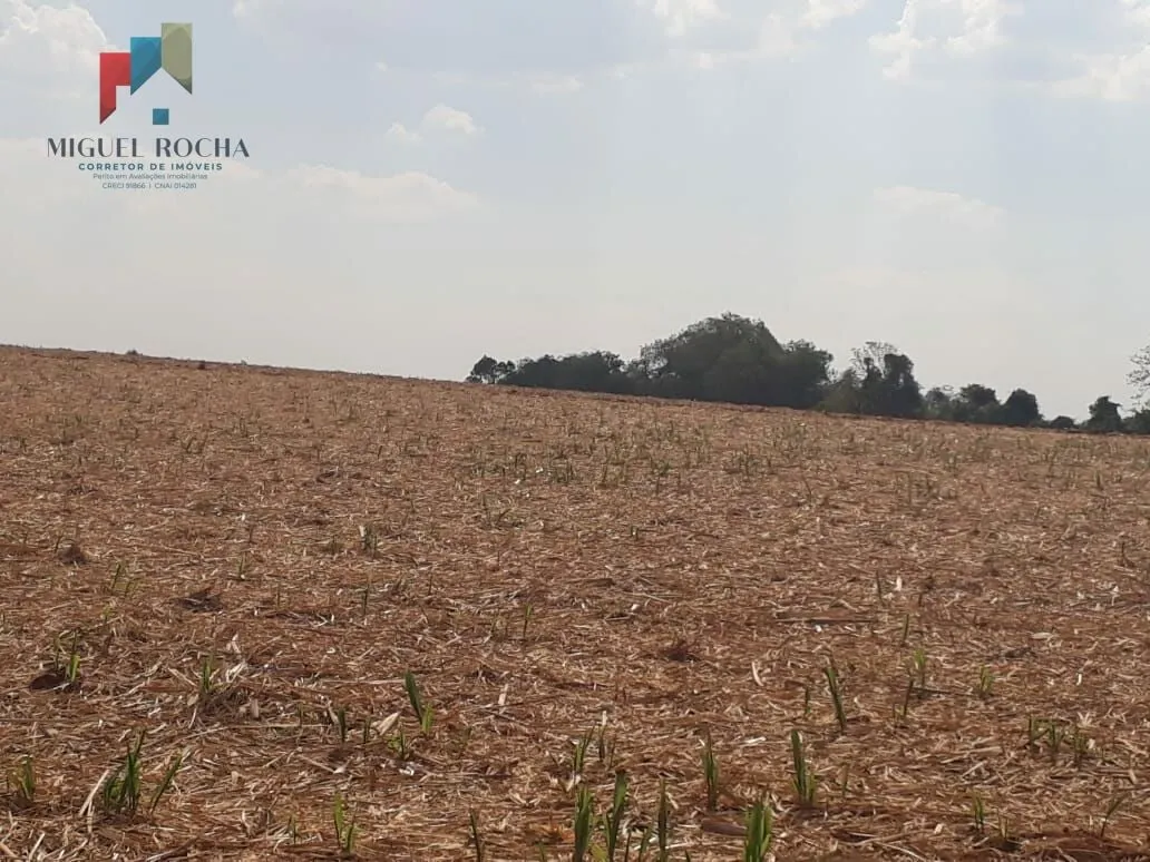 Foto do imóvel Sítio a venda Cesário Lange SP