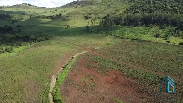 Sítio a venda com 12.29 alqueires, 15 km do centro de Campo Mourão Paraná PR