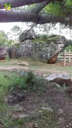 Imagem CHÁCARA PARA VENDA EM MAIRIPORÃ