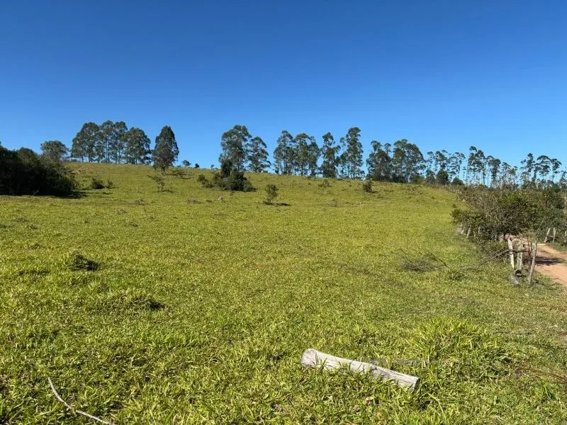 Imagem FAZENDA À VENDA - DESTERRO DE ENTRE RIOS (MG) 51 hectares de área total