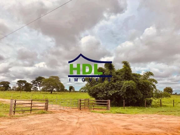 Imagem FAZENDA COM 1.180 ALQS ARAGUIANA MT