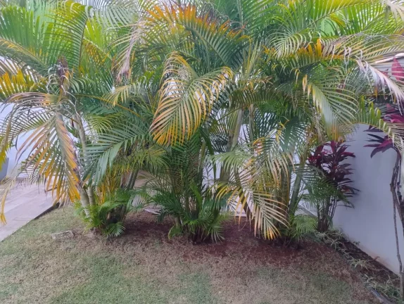 Imagem Casa no Condomínio fechado de alto padrão Itatiba Country Club na melhor localização de Itatiba/SP!
