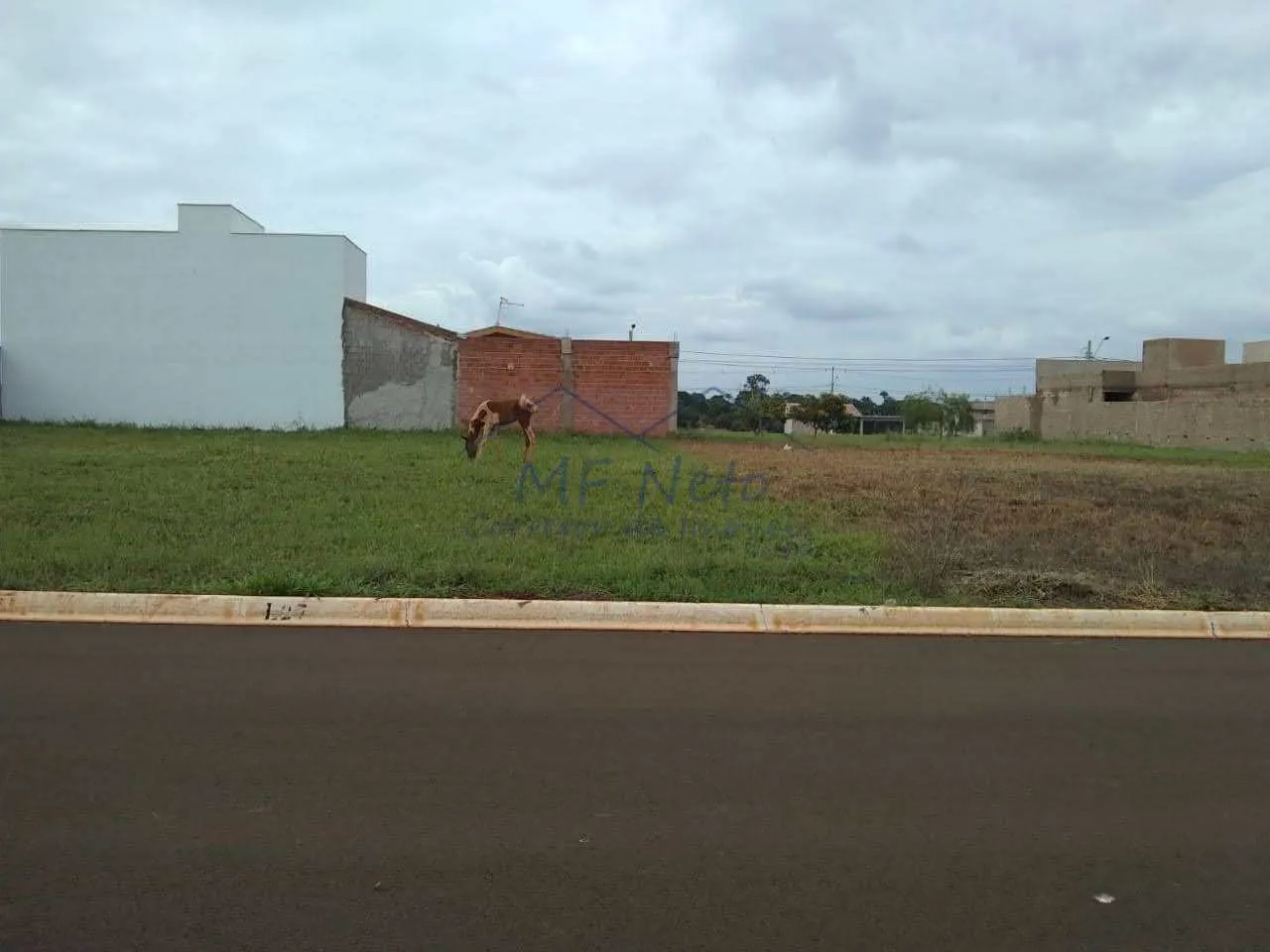 Imagem Terreno Padrão