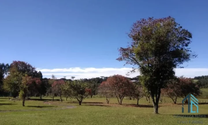 Imagem Chácara com toda Infraestrutura completa, Colônia Malhada em São José dos Pinhais PR