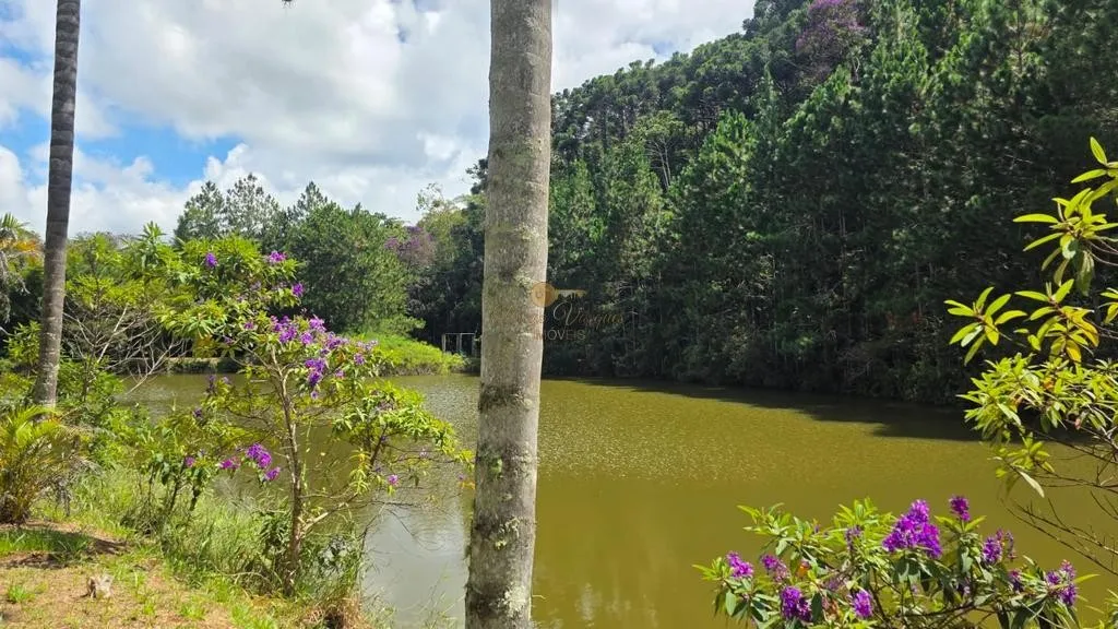 Imagem Sítio para Venda em Teresópolis / RJ no bairro Campanha