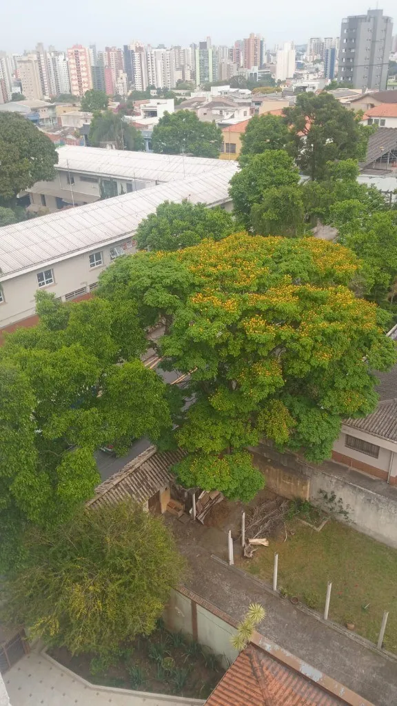 Imagem Imperdível oportunidade: Apartamento à venda em Santo André-SP, Vila Alpina - 1 quarto, 1 banheiro, 1 vaga, 41,00 m²