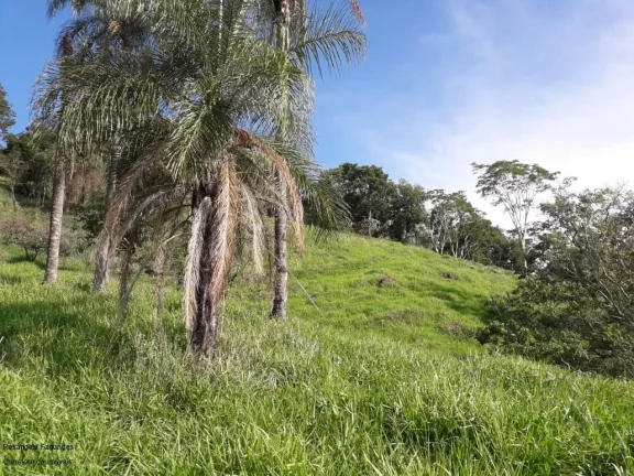 Imagem FAZENDA RURAL em SÃO JOÃO DA BOA VISTA - SP, CENTRO