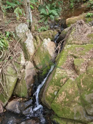 Imagem Lindo sítio à Venda em Piracaia