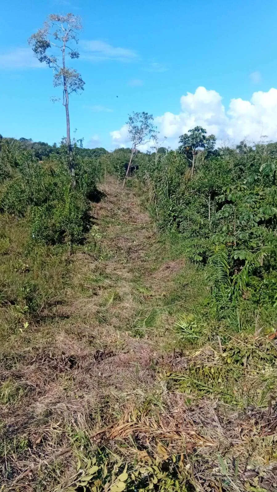 Imagem Terreno à venda em Camaçari, Coqueiros de Arembepe (Abrantes), 5000m2