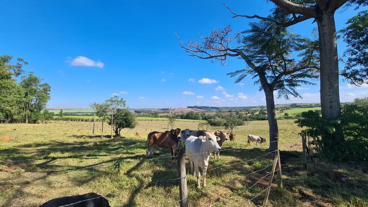 Foto do imóvel: Sítio em Cesário Lange/SP com 4,59 alqueires: topografia excelente e acesso à Castelo Branco.