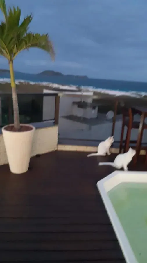 Foto do imóvel Cobertura para Venda em Cabo Frio / RJ