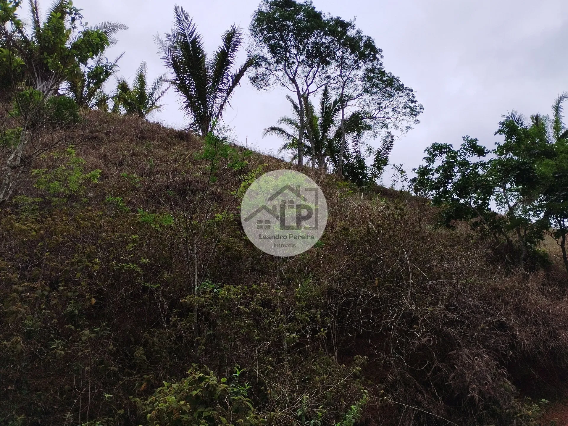 Imagem Lote/Terreno de 1560m² no bairro Caiçara, em Piraí