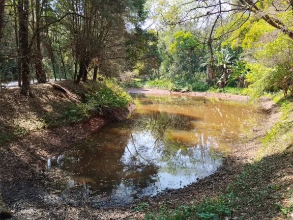 Imagem Sítio 36 mil m² Piracaia Asfalto e Escritura Estuda Proposta!!