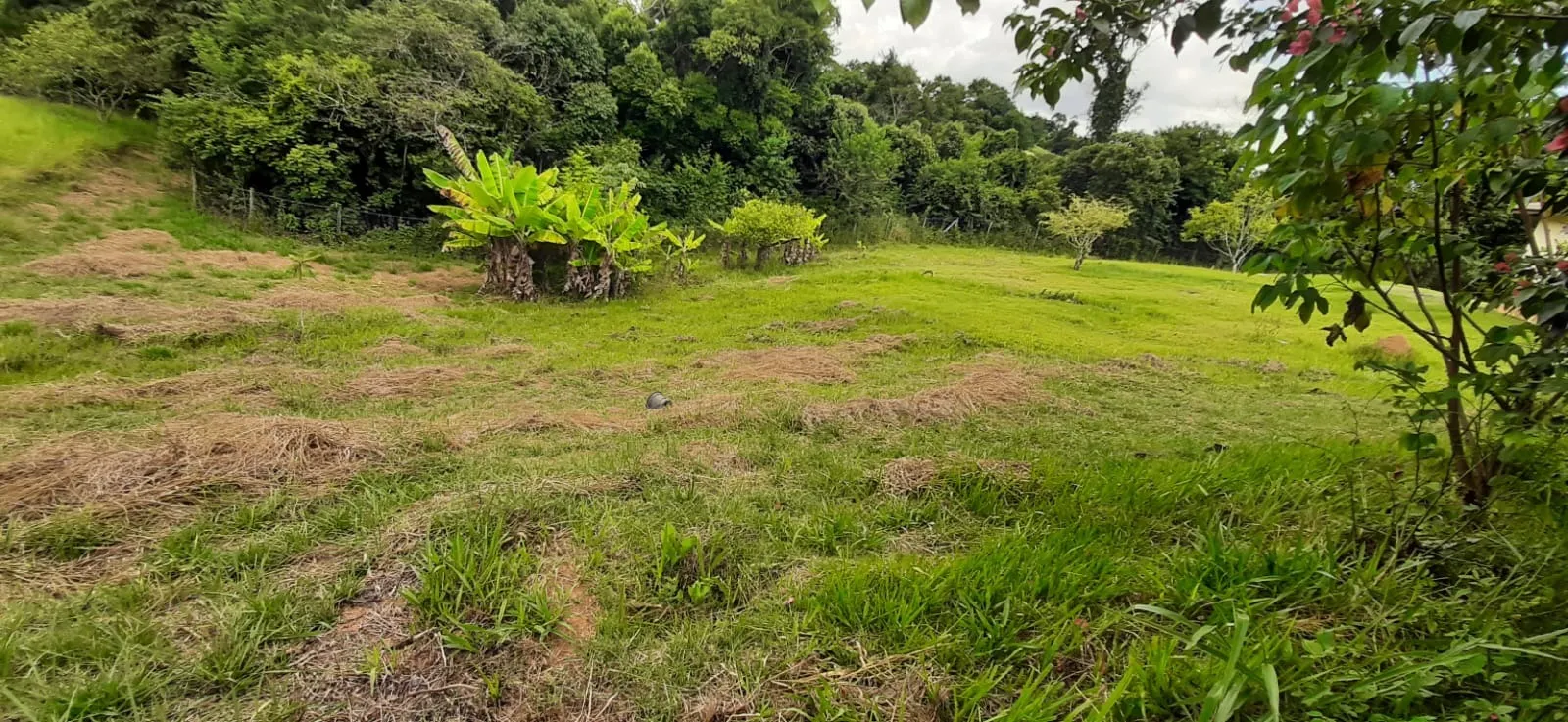 Imagem Chácara à venda em Araçoiaba da Serra - 4 quartos, 1 suíte, 3 banheiros, 3 vagas - Imperdível!