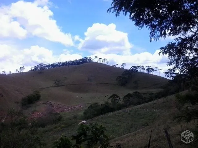 Imagem Chácara à venda 4 Quartos, 2 Suites, 52000M², Zona Rural, Santo Antônio do Pinhal - SP