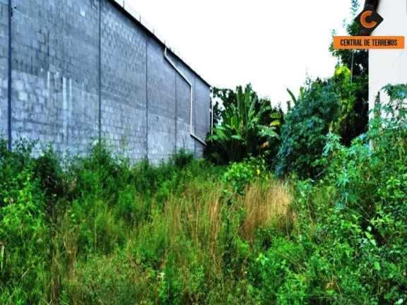 Imagem TERRENO PRÓXIMO AO BOSQUE DA PAZ