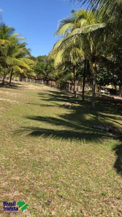 Imagem ÁREA PÉ NA AREIA NO EXTREMO SUL DA BAHIA