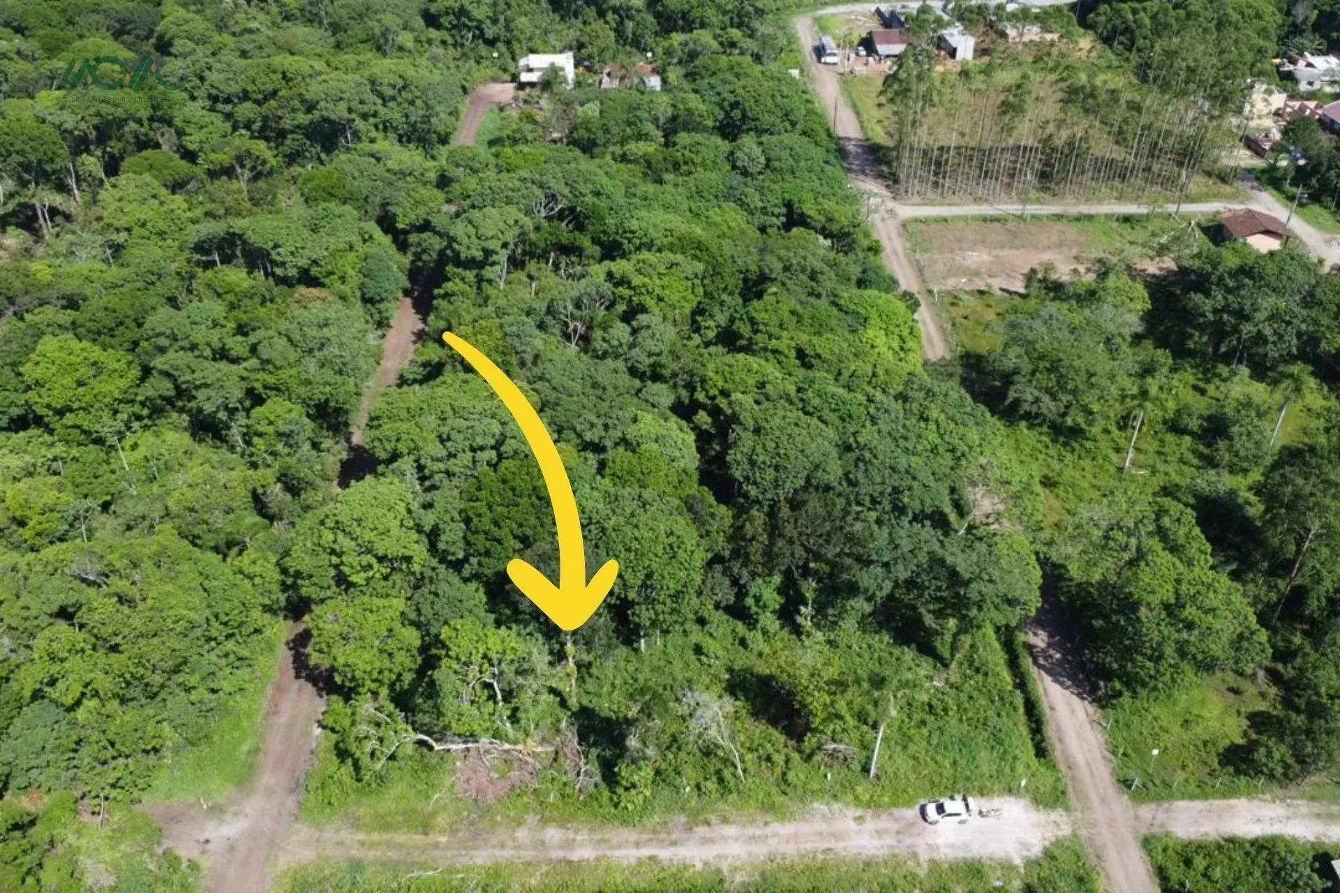 Imagem 4 terrenos sendo uma ESQUINA, com vegetação, localizado na Rua 2730, 888 - Bairro Pontal do Norte ...
