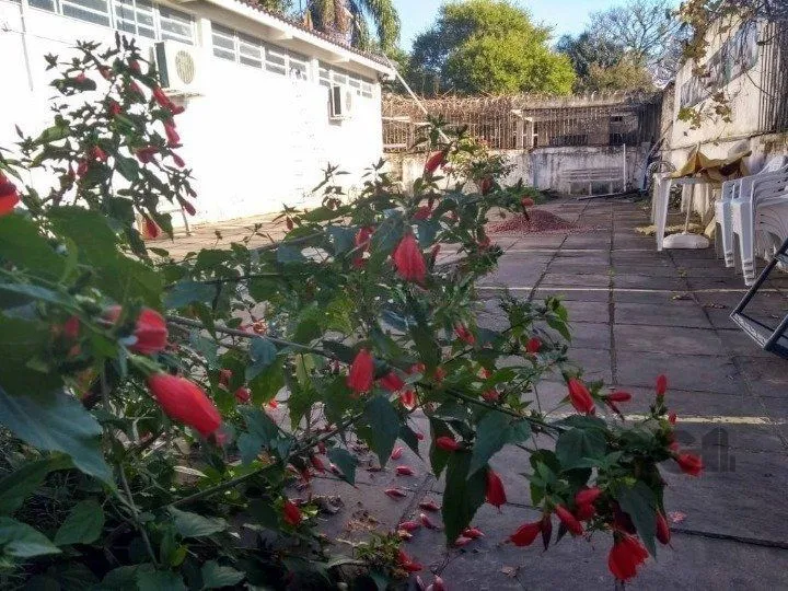 Imagem Casa Comercial em Teresópolis